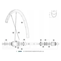 Mavic Aksium Elite Ust Disc 650b Hintere Rechte Speichen 12 Einheiten Mavic Aksium Elite Ust Disc 650b Hintere Rechte Speichen 12 Einheiten