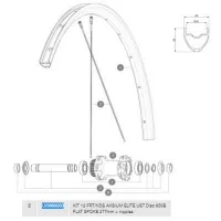 Mavic Aksium Elite Ust Disc 650b Linke Speichen 12 Einheiten Mavic Aksium Elite Ust Disc 650b Linke Speichen 12 Einheiten