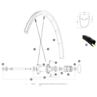 Mavic Aksium Elite Ust/ksyrium Ust Hintere Rechte Speichen 10 Einheiten Mavic Aksium Elite Ust/ksyrium Ust Hintere Rechte Speichen 10 Einheiten