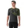 Carbone / olive