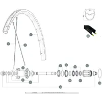Mavic Allroad Elite Ust Ub 2018 Hintere Linke Speichen 12 Einheiten Mavic Allroad Elite Ust Ub 2018 Hintere Linke Speichen 12 Einheiten