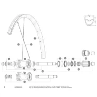 Mavic Crossmax Elite/xa Elite 29 Hintere Rechte Speichen 12 Einheiten Mavic Crossmax Elite/xa Elite 29 Hintere Rechte Speichen 12 Einheiten