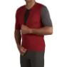 Burgundy / carbone