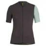 Carbone / mint