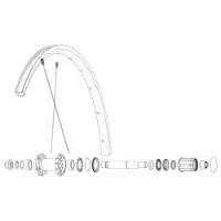 Mavic Kit 12 Rear Ksyrium Sl Ds Speichen Mavic Kit 12 Rear Ksyrium Sl Ds Speichen