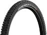 Maxxis Minion DHR II 3C MaxxTerra DD WT TR 29" Faltreifen