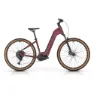 Megamo Reach Low 10 29´´ Cues 2025 Elektrofahrrad