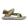 Olive / orange