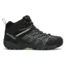Black / paloma 1