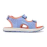 Blue / coral