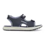 Navy / grey