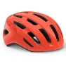 Glossy coral