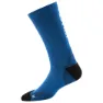 Icon blue