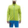 Acid green
