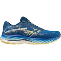 Mizuno Wave Rider 27 Amsterdam Laufschuhe male