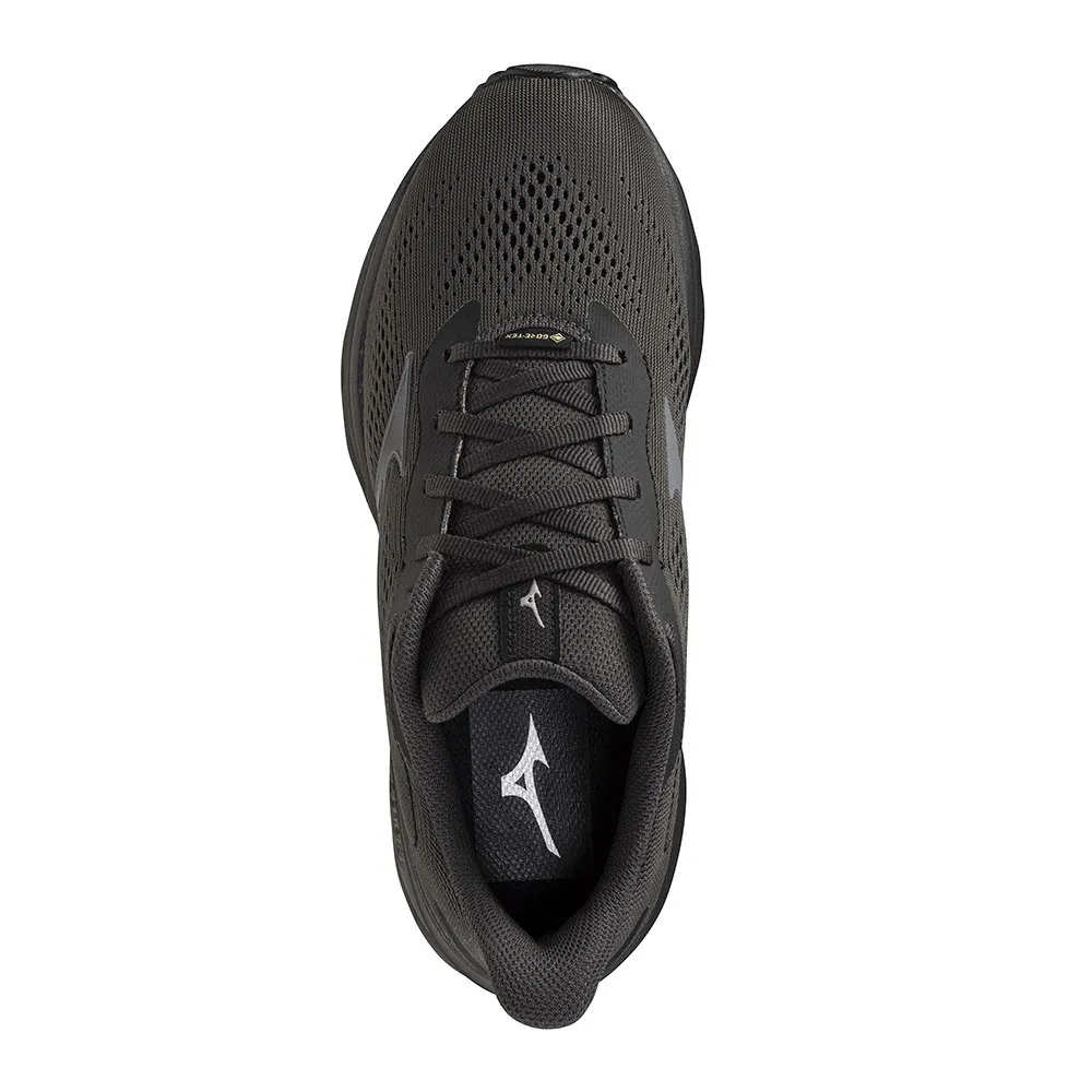 Mizuno Wave Serene 2 Gtx Laufschuhe male