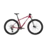 MMR Rakish Sl 00 29´´ Gx Axs 2025 Mountainbike