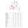 MMR Woki 30 29´´ Deore M6100 2025 Mountainbike