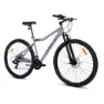 Momabikes Rock 29´´ Ty-300 2025 Mountainbike, Grey, One Size