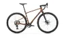 Mondraker Arid S 12K Diamant