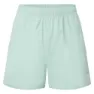 Montane Jetstream 4in Kurze Hose