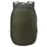 Kelp green
