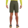 Montane Terra Kurze Hose