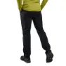Montane Terra Lite Regular Leg Hosen, Black