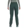 Montane Terra Strech Hosen