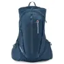Narwhal blue