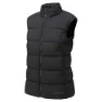 Montane Tundra Weste