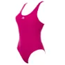 Fuchsia 1