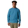 Mountain Hardwear Mhw Logo Crew Sweatshirt, Caspian