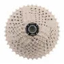 MSC BIKES 2 Spider Kassette