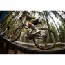 MSC BIKES Roller Tubeless 29´´ X 2.10 Mtb-reifen, Clear, 29" x 2.10