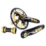 Gold / black