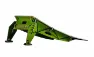 MTB Hopper INTRO, Grün