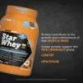 NAMEDSPORT Star Molkenproteinisolat Köstliche Haselnuss 750g, Multicolor, One Size