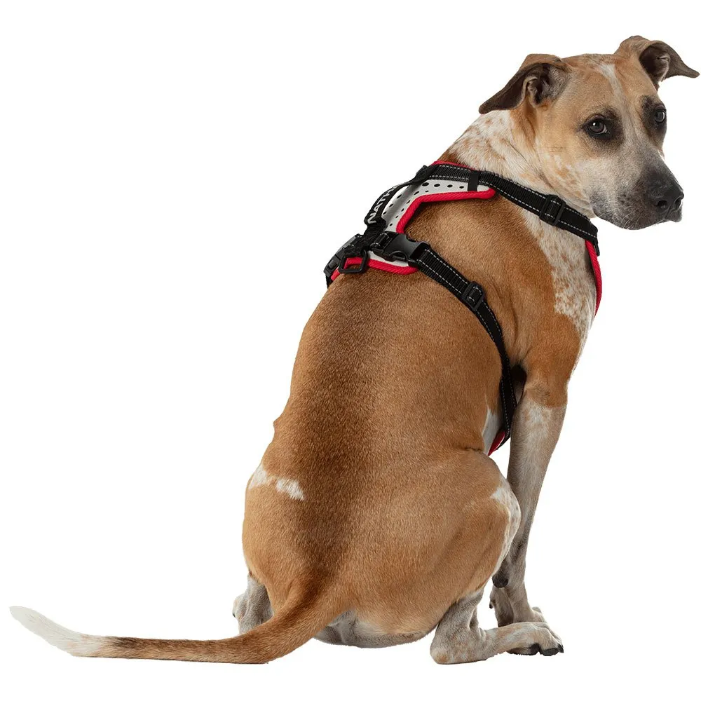 Nathan Reflective Hundegeschirr Nathan Reflective Hundegeschirr