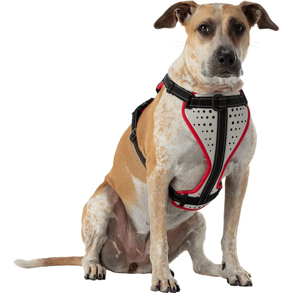 Nathan Reflective Hundegeschirr Nathan Reflective Hundegeschirr