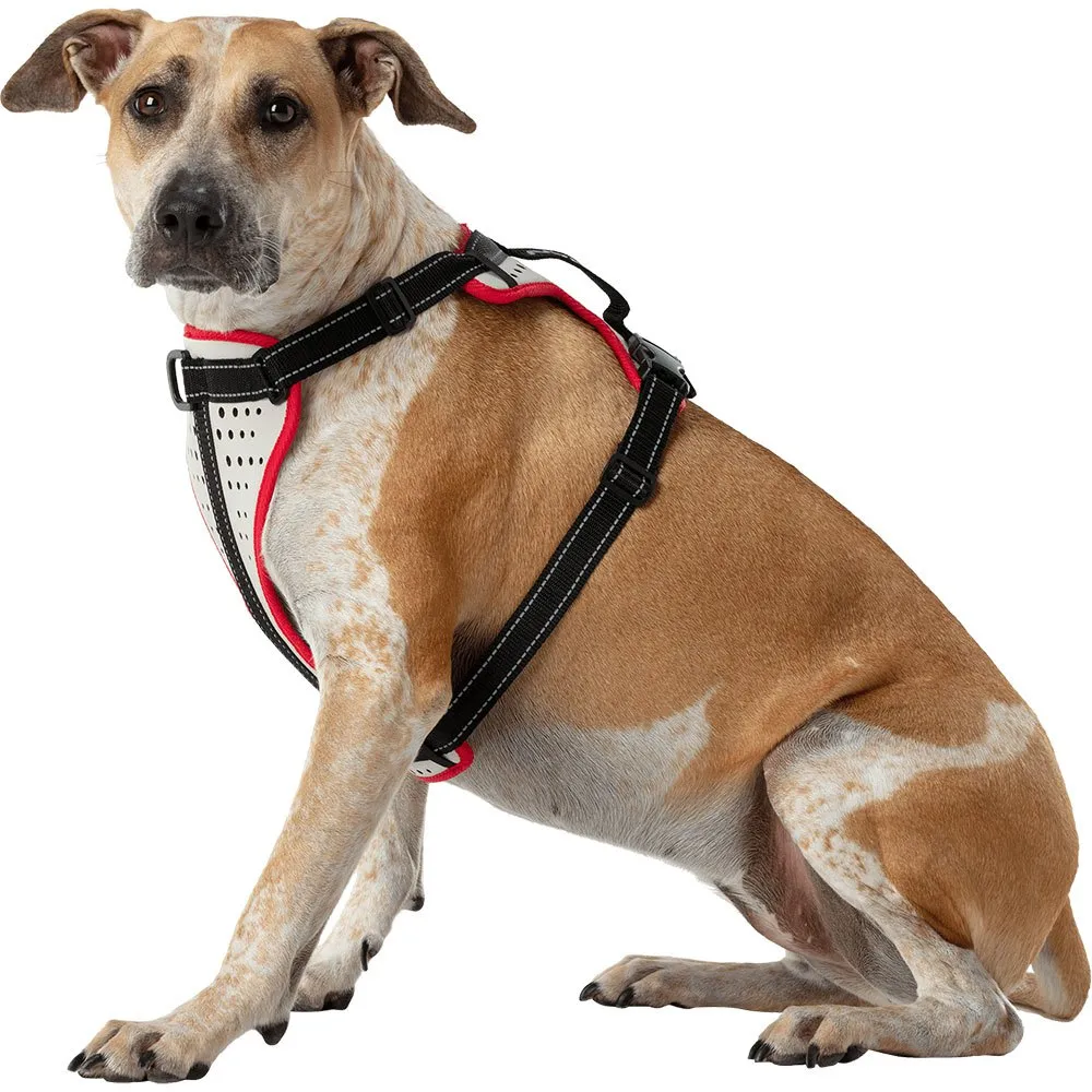 Nathan Reflective Hundegeschirr Nathan Reflective Hundegeschirr