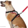 Nathan Reflective Hundegeschirr