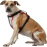 Nathan Reflective Hundegeschirr