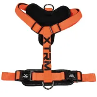 Nayeco X-trm Cronos Neon Flash 35-60x1.5 Cm Hundegeschirr Nayeco X-trm Cronos Neon Flash 35-60x1.5 Cm Hundegeschirr