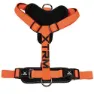 Nayeco X-trm Cronos Neon Flash 35-60x1.5 Cm Hundegeschirr, Orange, One Size