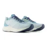 New Balance Fresh Foam Arishi V4 Laufschuhe male