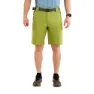 Cactus / green / ebony / lime