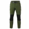Cactus green / black