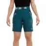 Green / pine / blue