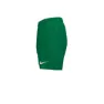 Nike 4´´ Volley Short Badeshorts male